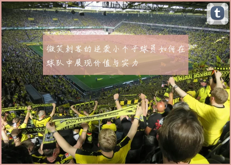 微笑刺客的逆袭小个子球员如何在球队中展现价值与实力
